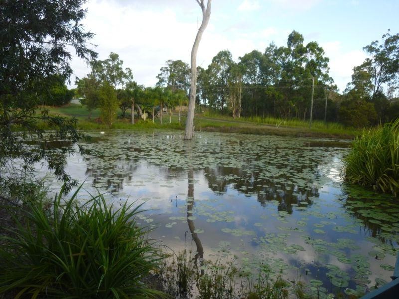 1154 GOODWOOD ROAD, Redridge QLD 4660