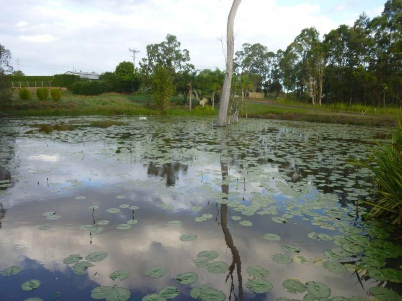 1154 GOODWOOD ROAD, Redridge QLD 4660