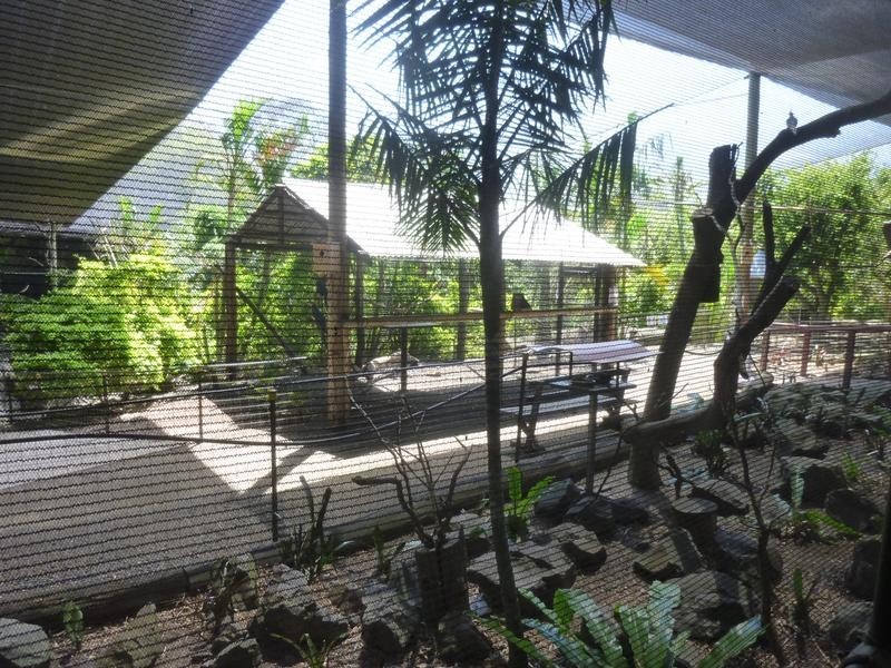 322 OLD CREEK ROAD, Apple Tree Creek QLD 4660