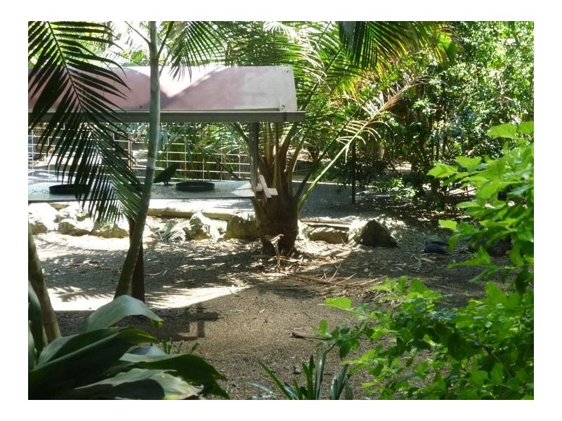 322 OLD CREEK ROAD, Apple Tree Creek QLD 4660