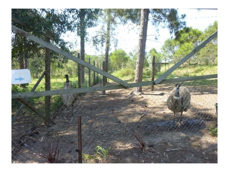 322 OLD CREEK ROAD, Apple Tree Creek QLD 4660