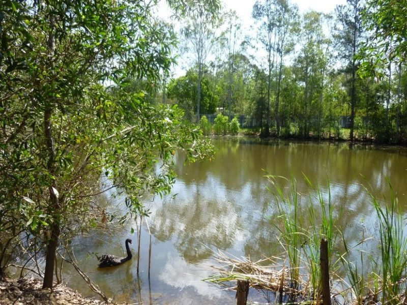 322 OLD CREEK ROAD, Apple Tree Creek QLD 4660