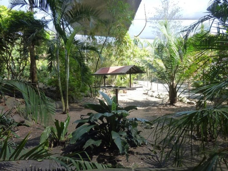 322 OLD CREEK ROAD, Apple Tree Creek QLD 4660