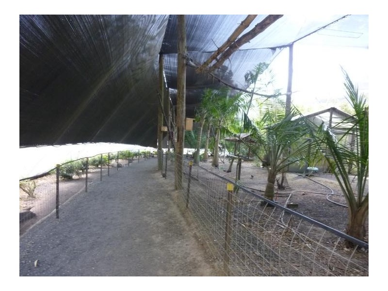 322 OLD CREEK ROAD, Apple Tree Creek QLD 4660