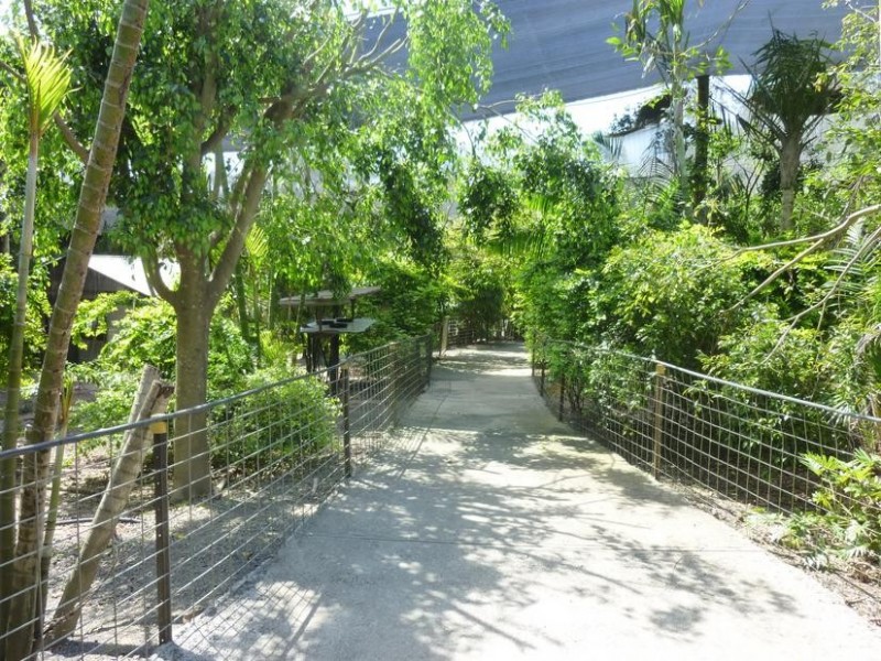 322 OLD CREEK ROAD, Apple Tree Creek QLD 4660