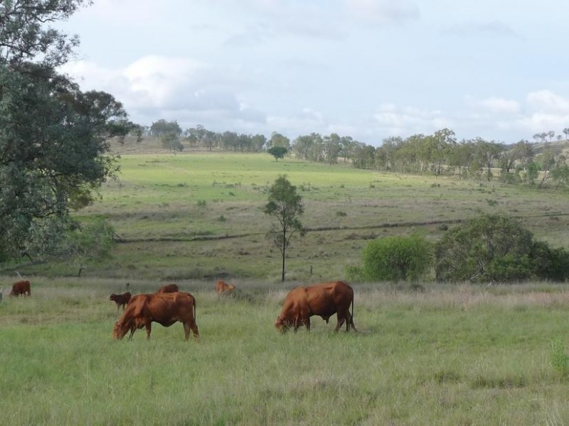 Didcot QLD 4621