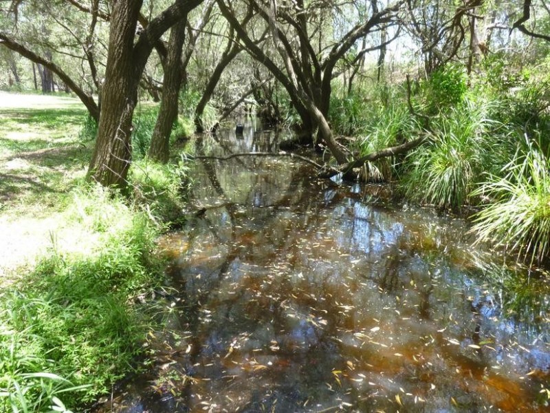 Apple Tree Creek QLD 4660