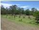 Apple Tree Creek QLD 4660