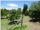Apple Tree Creek QLD 4660