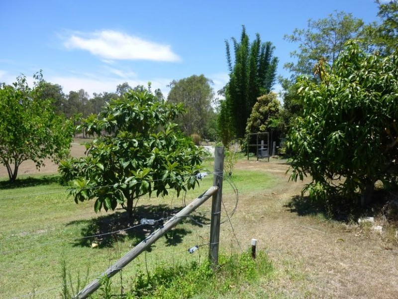 Apple Tree Creek QLD 4660