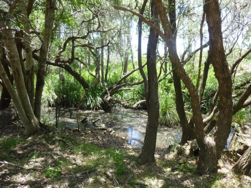 Apple Tree Creek QLD 4660