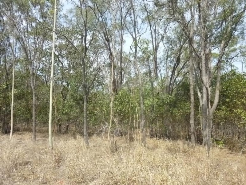431 GOODWOOD ROAD, North Isis QLD 4660