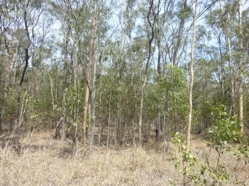 431 GOODWOOD ROAD, North Isis QLD 4660