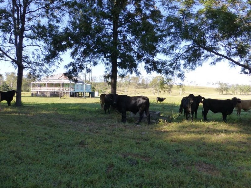 Biggenden QLD 4621