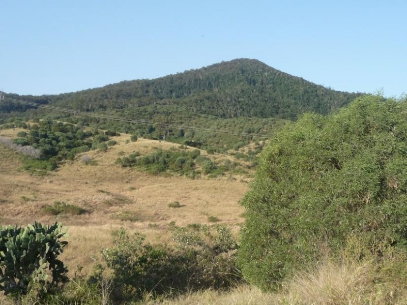 Lot 101 & 202,  MT WOOWOONGA ROAD, Dallarnil QLD 4621