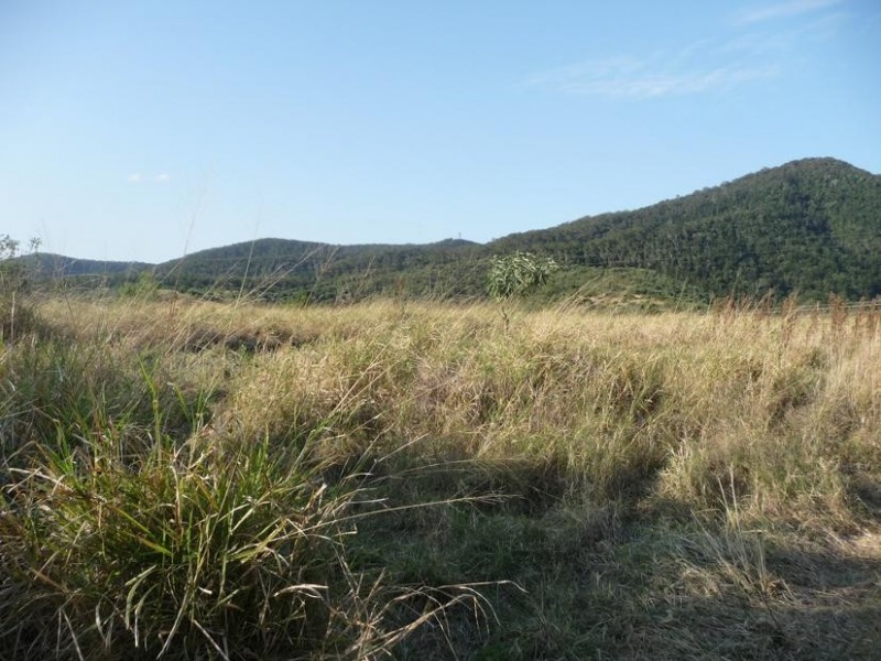 Lot 101 & 202,  MT WOOWOONGA ROAD, Dallarnil QLD 4621