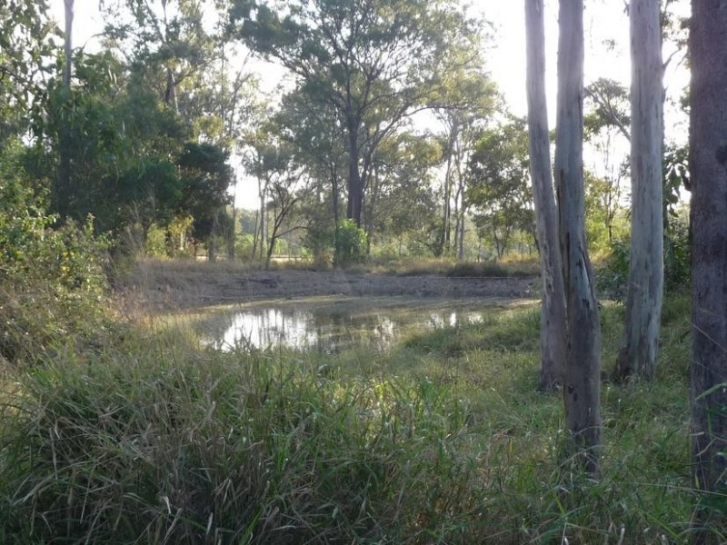 Lot 101 & 202,  MT WOOWOONGA ROAD, Dallarnil QLD 4621