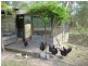 2 LEESONS ROAD, Redridge QLD 4660