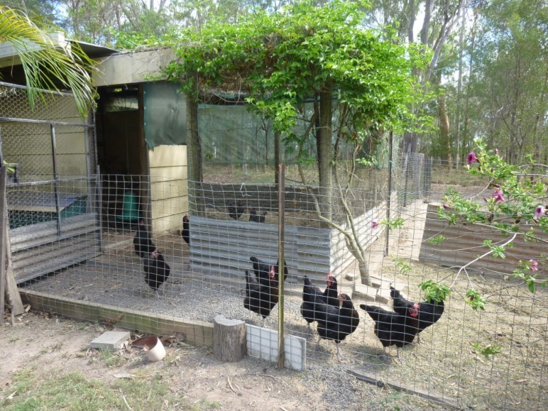 2 LEESONS ROAD, Redridge QLD 4660