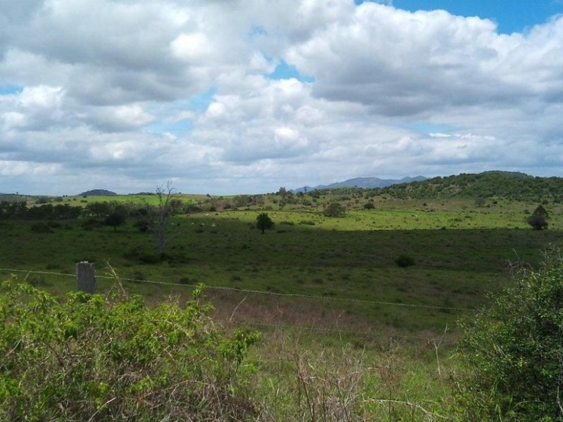 Dallarnil QLD 4621