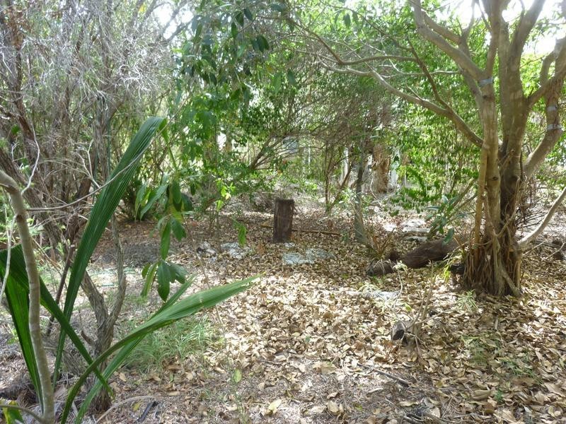 7 CHARLTON STREET, Buxton QLD 4660