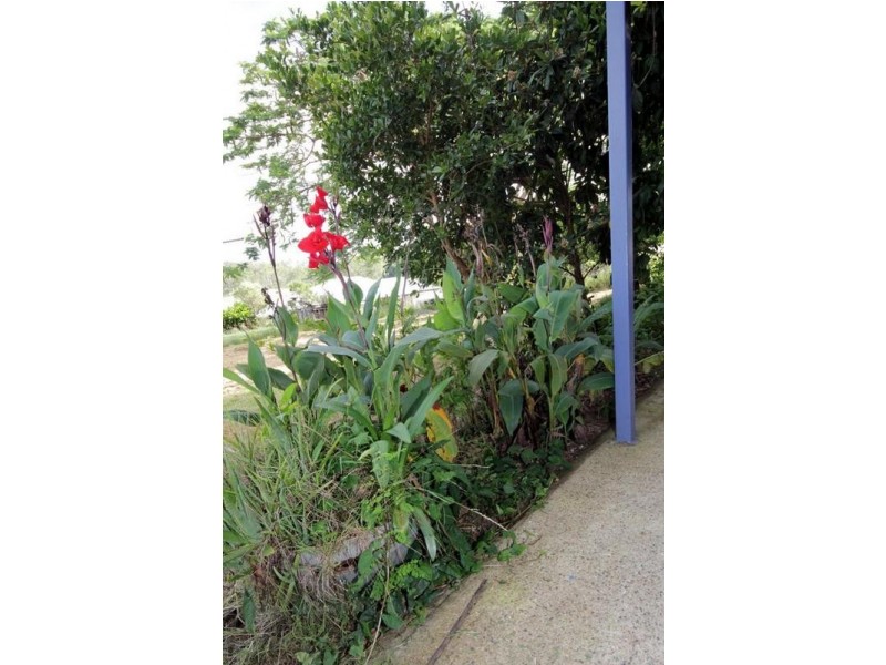 298 GENTLE ANNIE ROAD, Apple Tree Creek QLD 4660