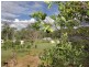 298 GENTLE ANNIE ROAD, Apple Tree Creek QLD 4660