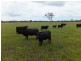 565 BURRUM HEADS ROAD, Burrum River QLD 4659