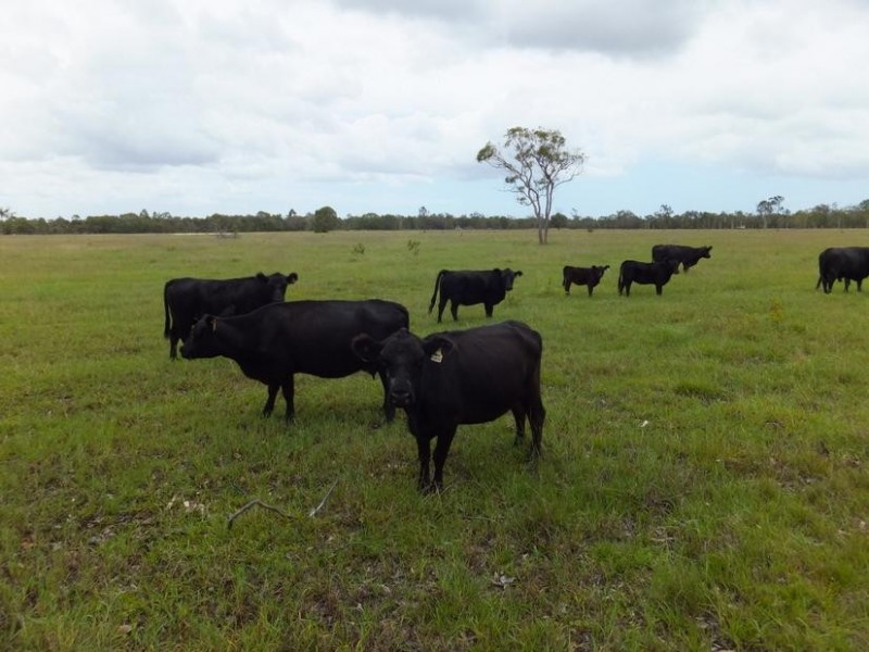 565 BURRUM HEADS ROAD, Burrum River QLD 4659