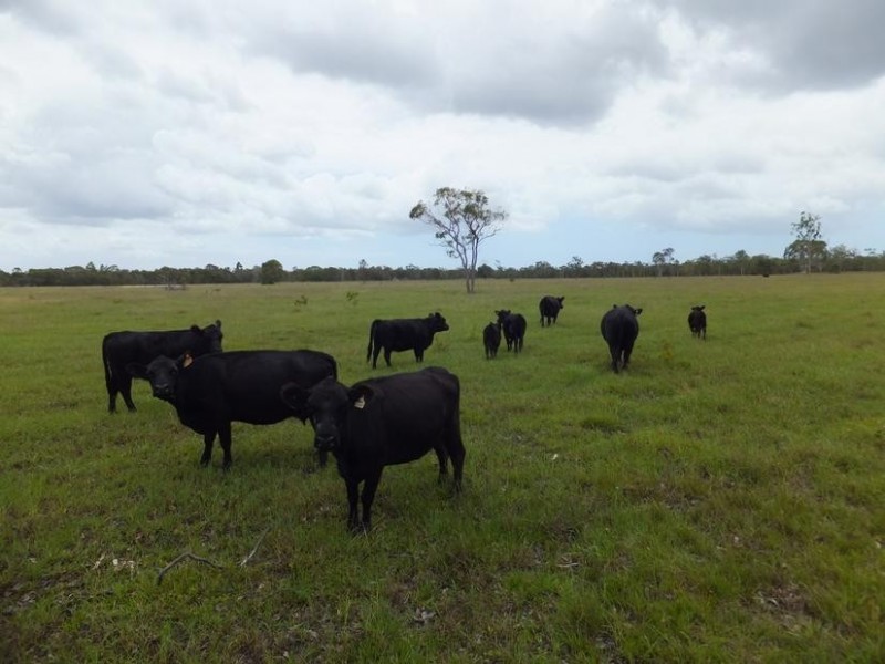 565 BURRUM HEADS ROAD, Burrum River QLD 4659