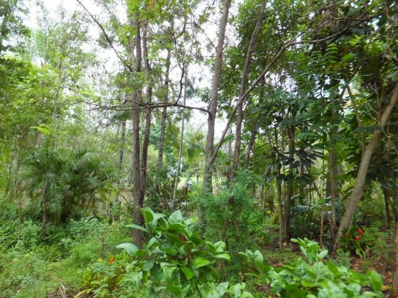 173 HODGES ROAD, Cordalba QLD 4660