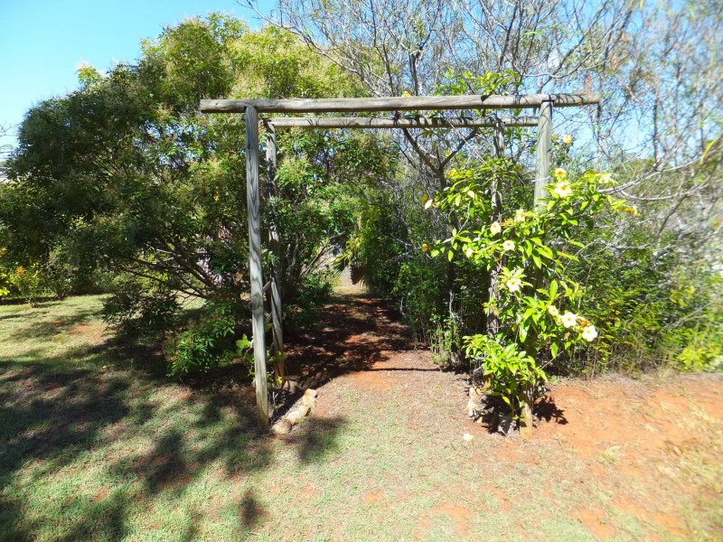 141 RAINBOWS ROAD, South Isis QLD 4660