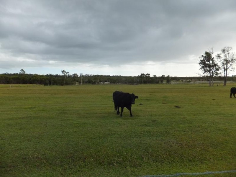 225 WOODGATE ROAD, Woodgate QLD 4660