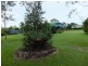 19 BILLABONG CRESCENT, Apple Tree Creek QLD 4660