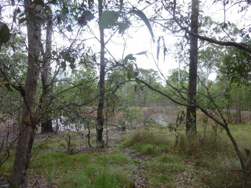 49 STOCKYARD ROAD, North Isis QLD 4660