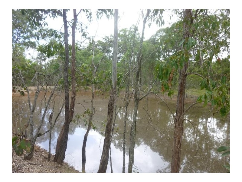 49 STOCKYARD ROAD, North Isis QLD 4660