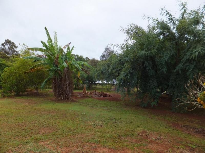 170 RAINBOWS ROAD, South Isis QLD 4660