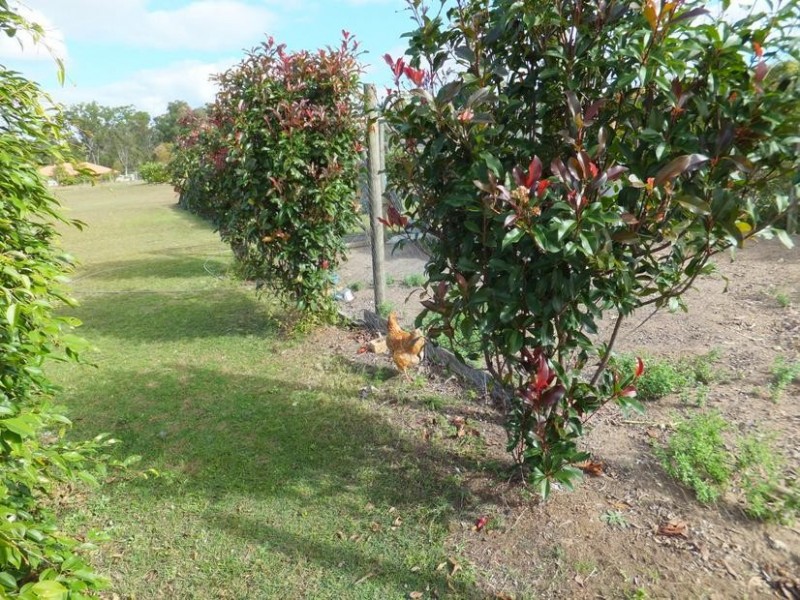 10 RHYTHM RISE, Redridge QLD 4660