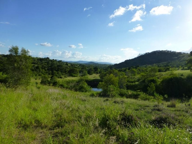 Lot 174 175 17,  LAWGALLS ROAD, Dallarnil QLD 4621