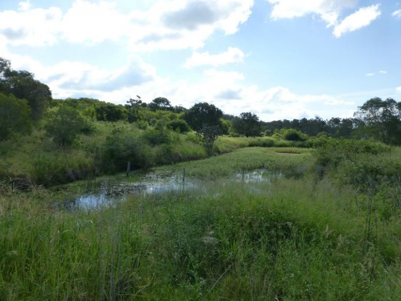 Lot 174 175 17,  LAWGALLS ROAD, Dallarnil QLD 4621