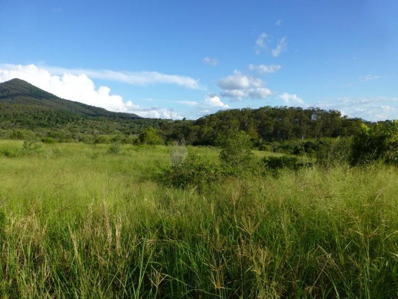 Lot 174 175 17,  LAWGALLS ROAD, Dallarnil QLD 4621