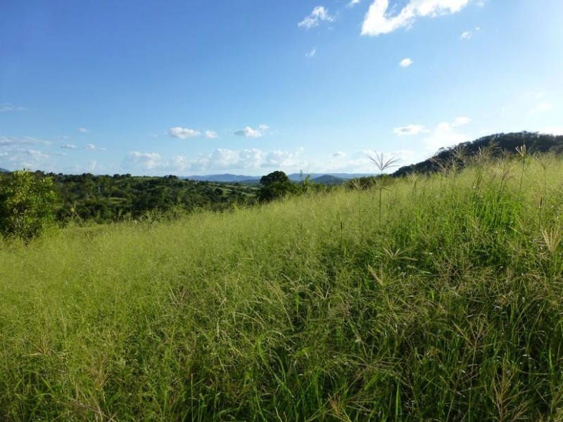 Lot 174 175 17,  LAWGALLS ROAD, Dallarnil QLD 4621