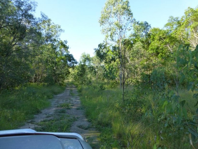 Lot 174 175 17,  LAWGALLS ROAD, Dallarnil QLD 4621
