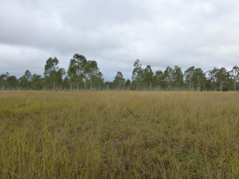 Lot 215,  CORINGA ROAD, Degilbo QLD 4621