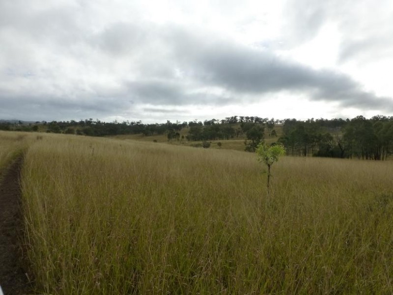 Lot 215,  CORINGA ROAD, Degilbo QLD 4621