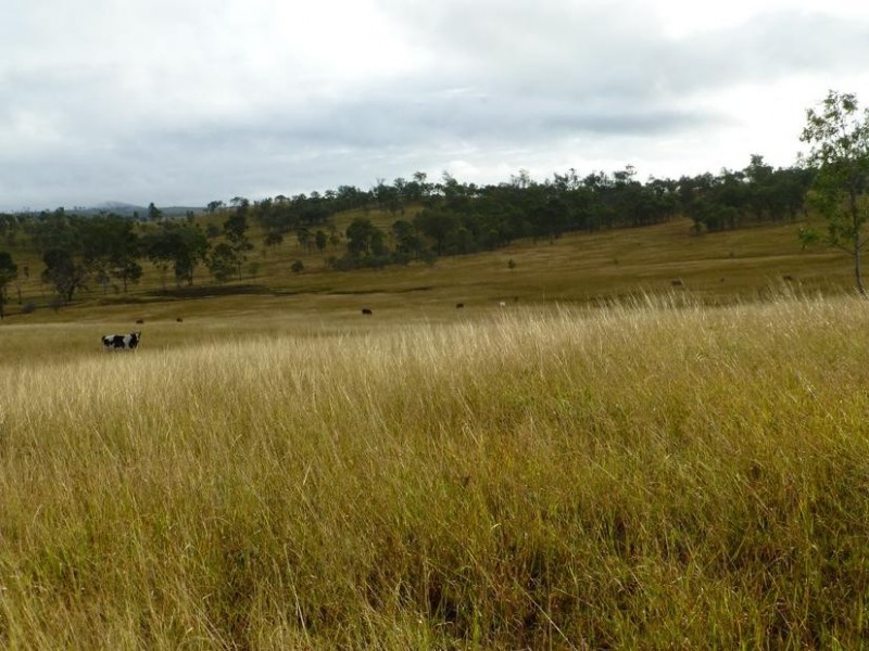 Lot 215,  CORINGA ROAD, Degilbo QLD 4621