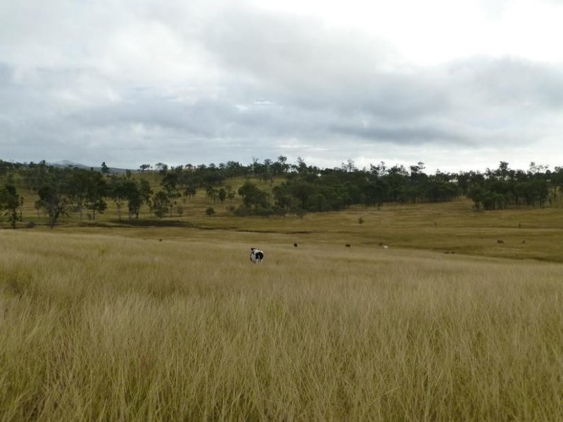 Lot 215,  CORINGA ROAD, Degilbo QLD 4621