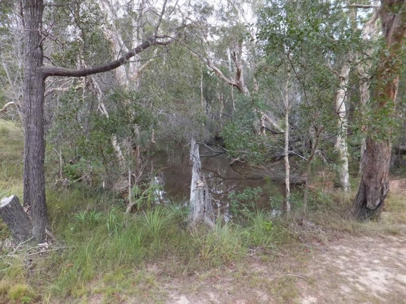 3 BLUE GUM DRIVE, Redridge QLD 4660