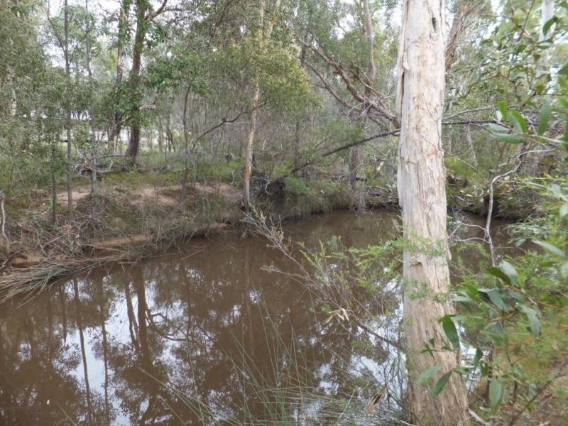3 BLUE GUM DRIVE, Redridge QLD 4660