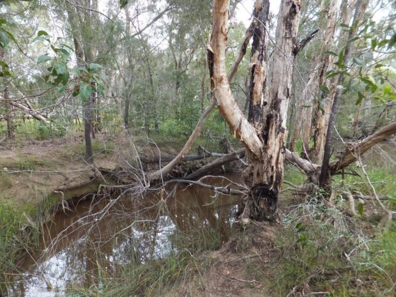 3 BLUE GUM DRIVE, Redridge QLD 4660